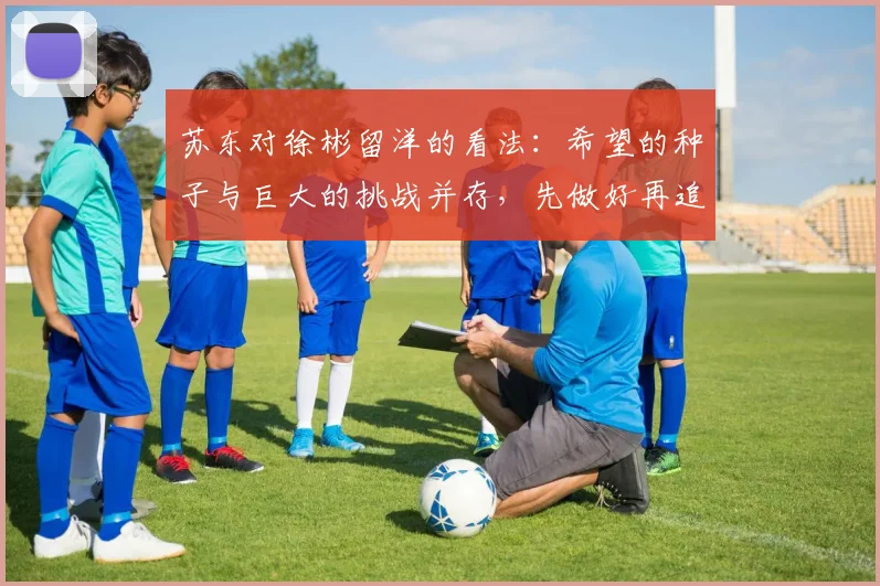 苏东对徐彬留洋的看法：希望的种子与巨大的挑战并存，先做好再追求完美